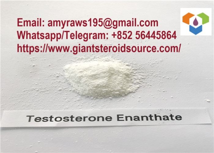 Najwyższej jakości biały proszek Testosteron Enanthate Surowy proszek CAS 315-37-7
